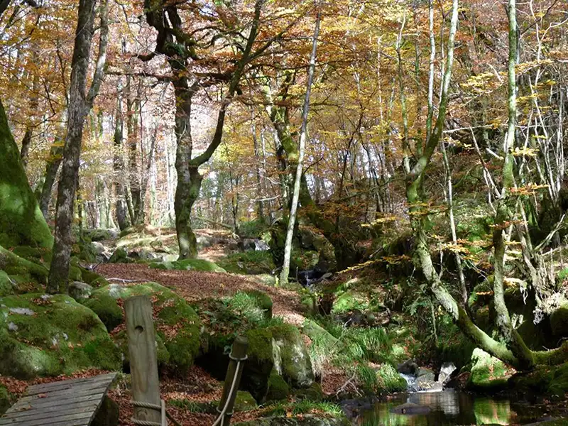 CASCADE DE LA TINE