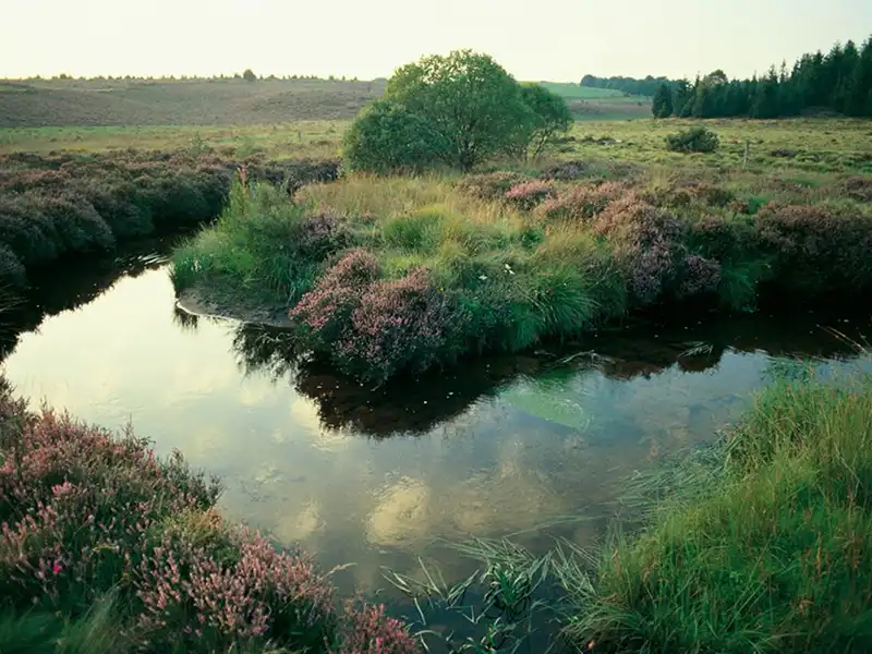 The Millevaches Regional Nature Park